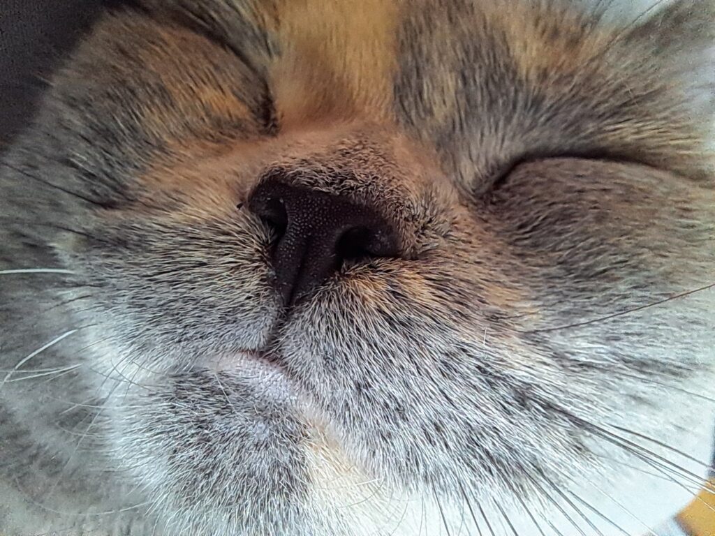 643842436_20240822_134555_874433 - Kopie